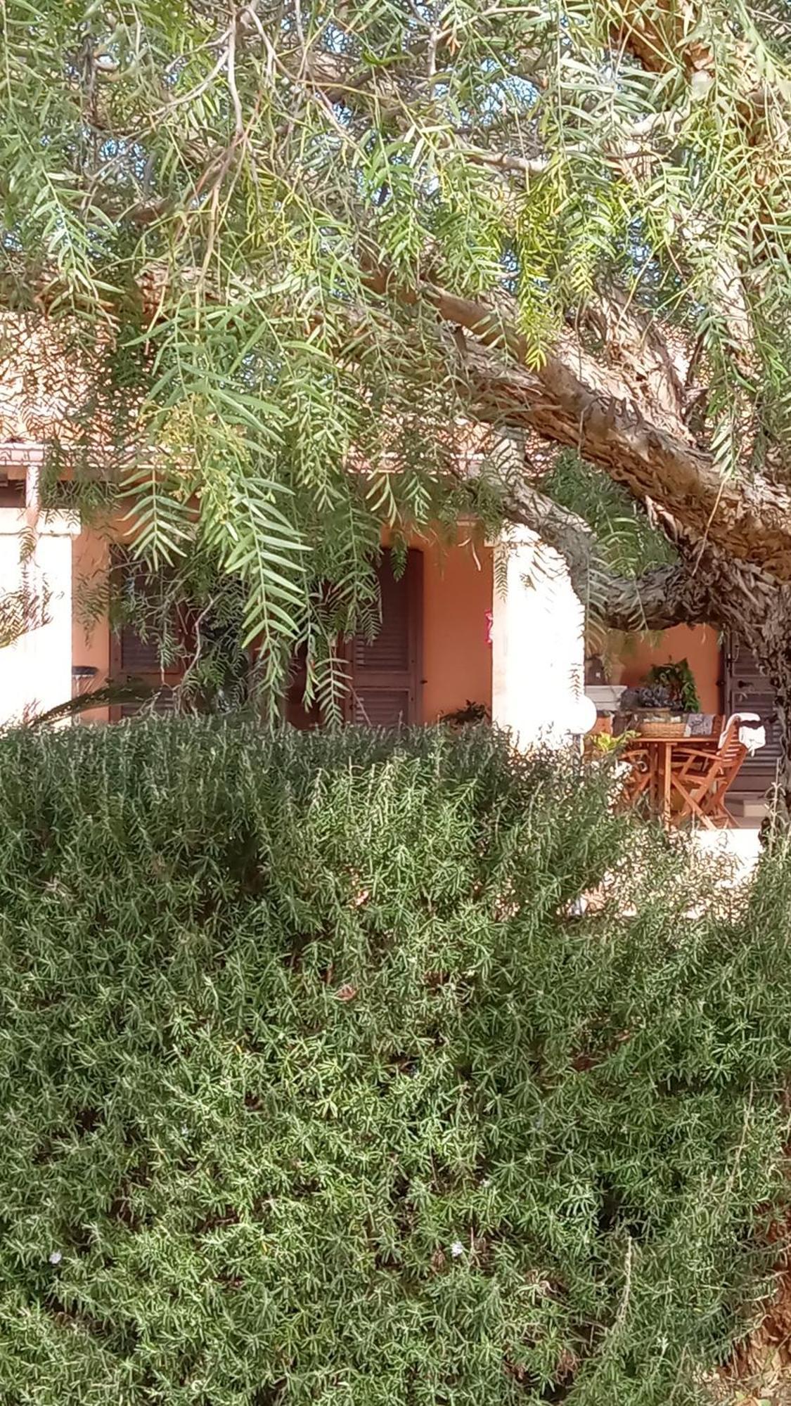 Oniro Specchia Bed and Breakfast Exteriör bild